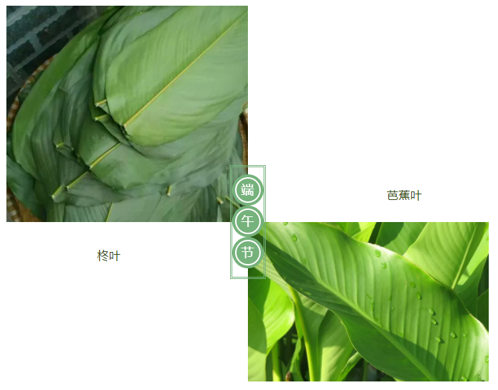 YY易游m6米乐医纺